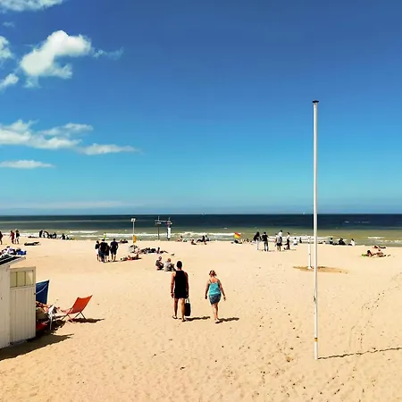 Awesome In With Wifi *